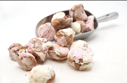 Freeze Dried Neapolitan Ice Cream