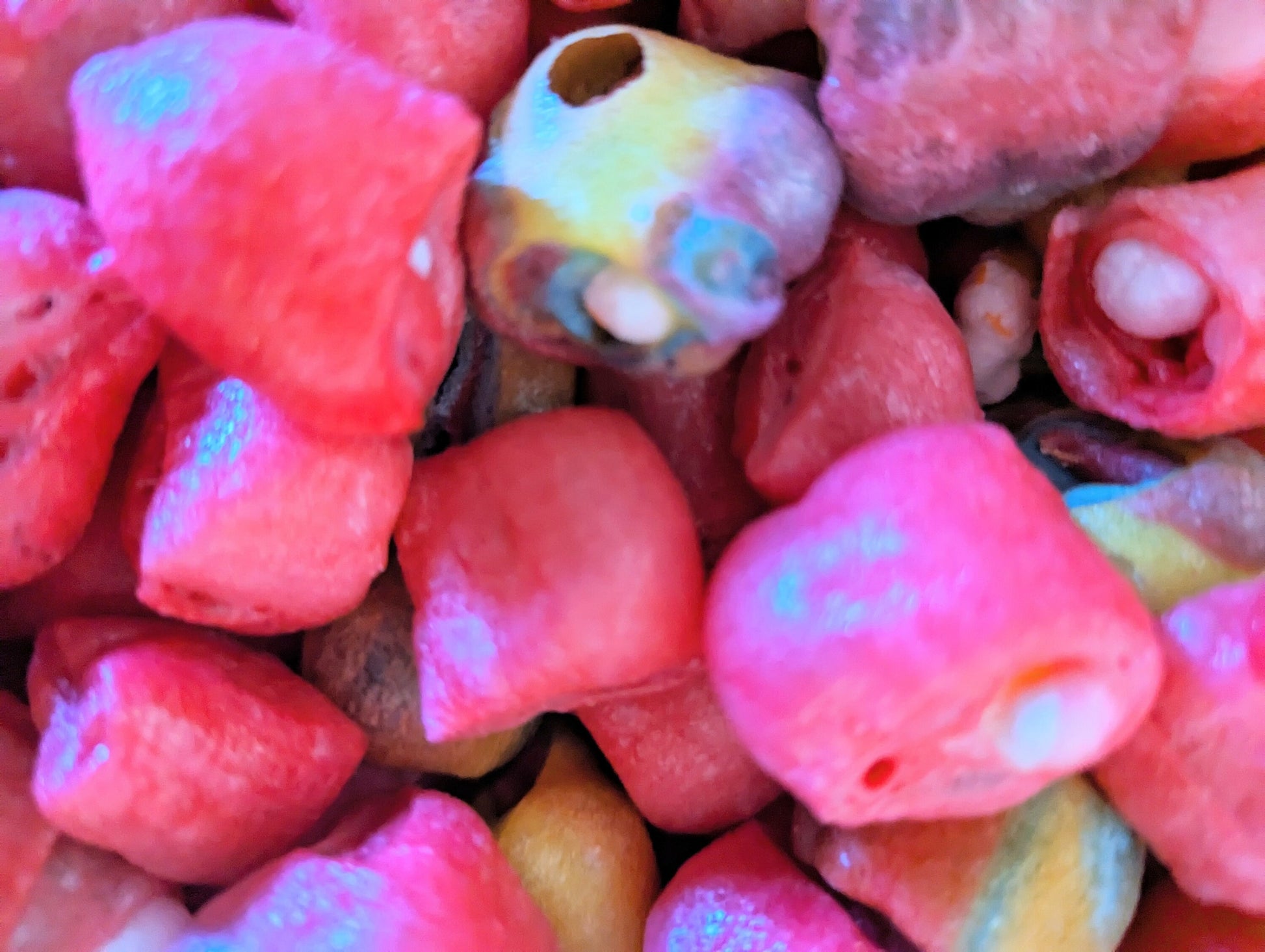 Freeze Dried Fruit Roll Ups TM