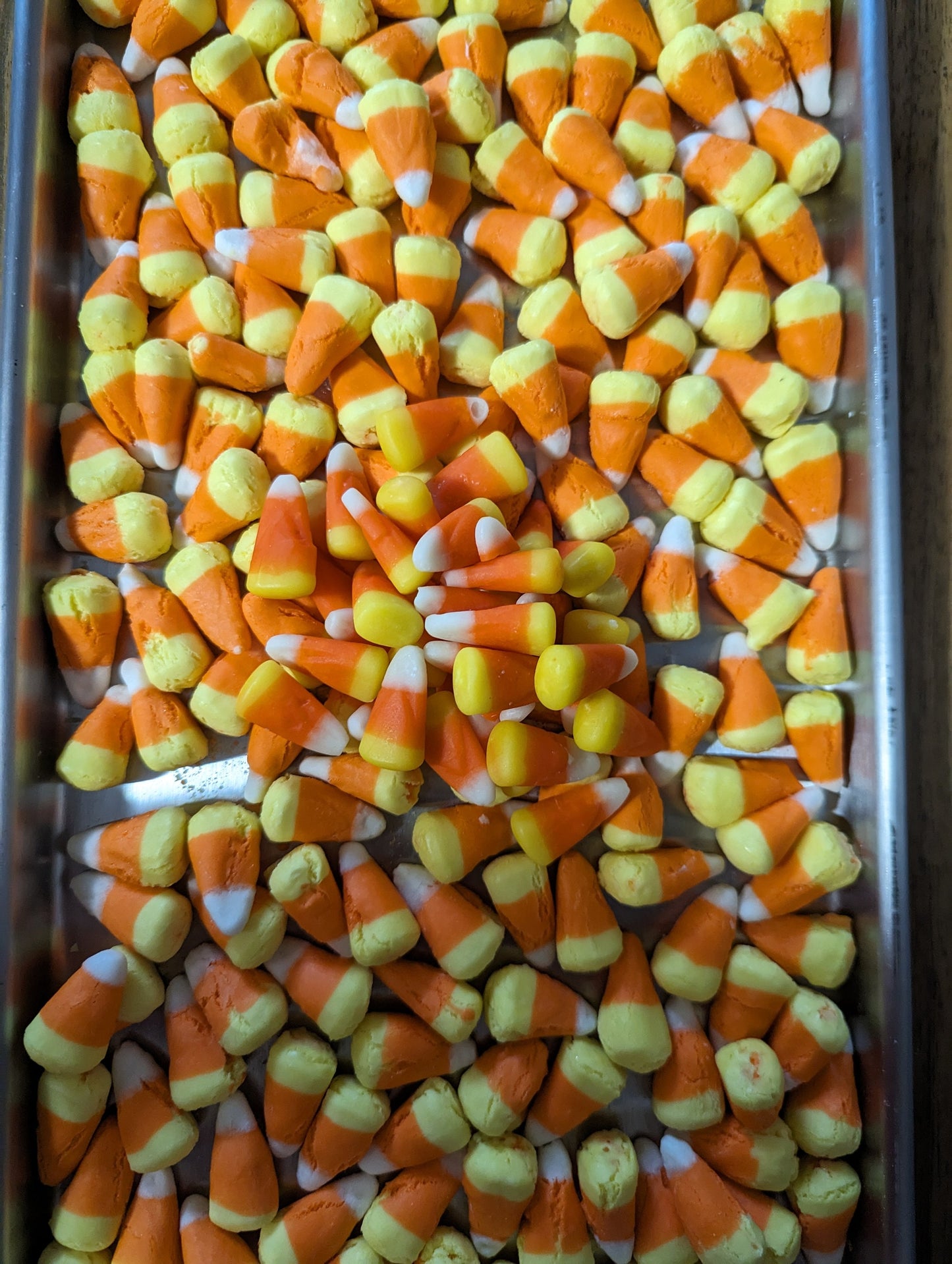 Freeze Dried Candy Corn