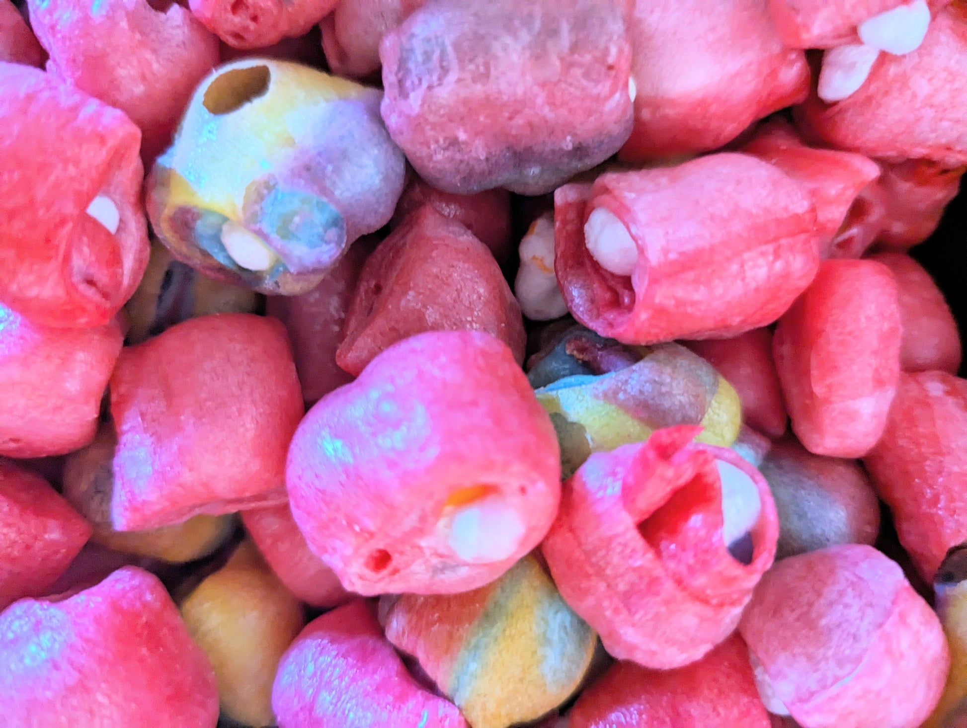 Freeze Dried Fruit Roll Ups TM