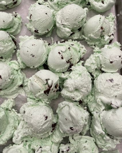 Freeze Dried Mint Chocolate Chip Ice Cream Ice Cream