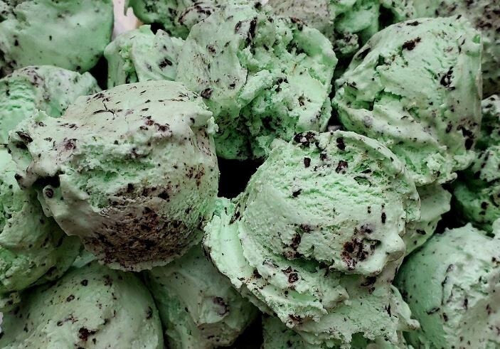 Freeze Dried Mint Chocolate Chip Ice Cream Ice Cream