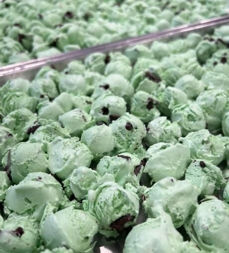 Freeze Dried Mint Chocolate Chip Ice Cream Ice Cream