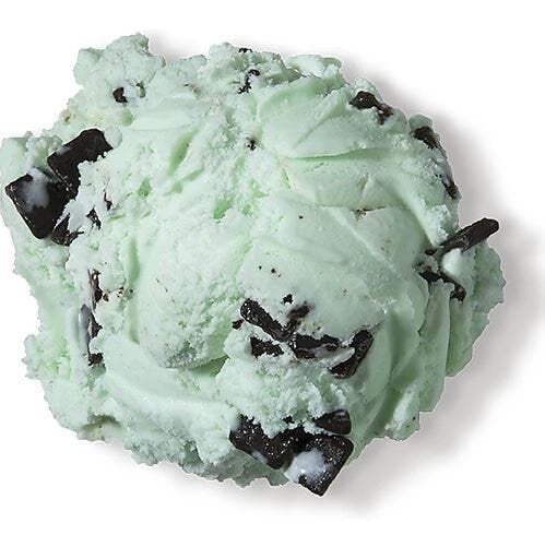 Freeze Dried Mint Chocolate Chip Ice Cream Ice Cream