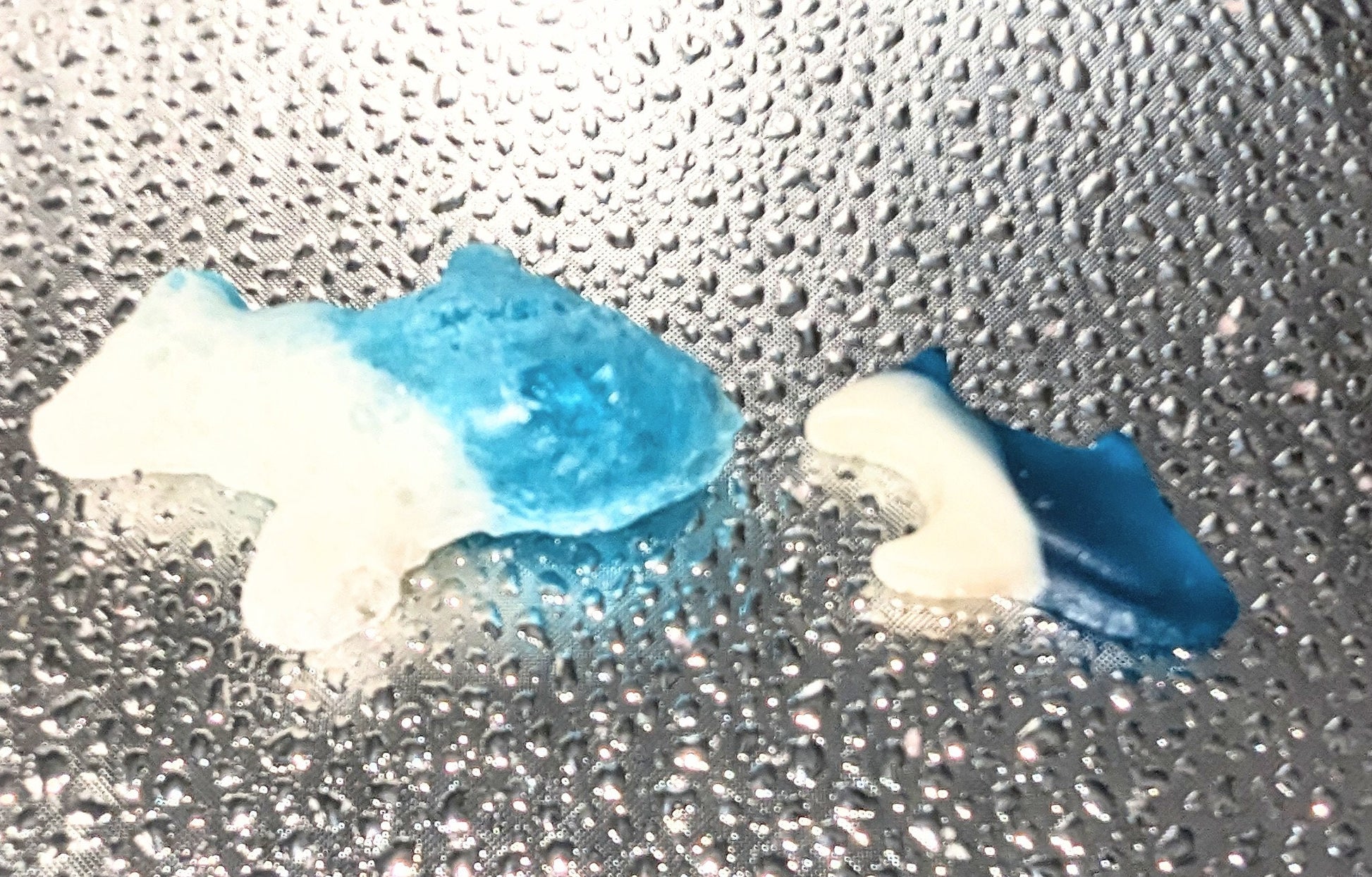 Freeze Dried Sour Blue Raspberry Gummy Sharks