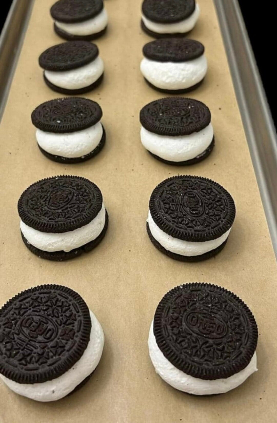 Freeze Dried Oreo Cookies