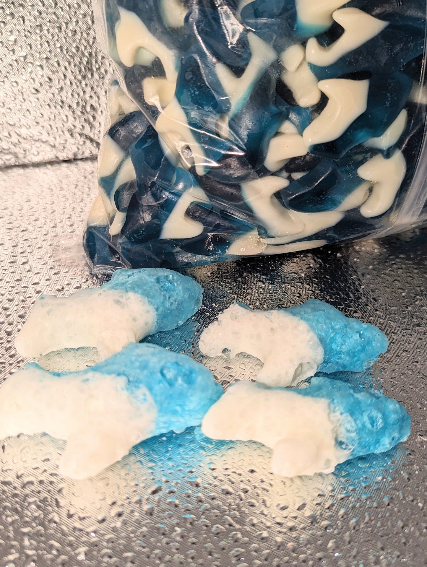 Freeze Dried Sour Blue Raspberry Gummy Sharks